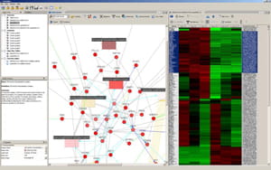 Developing NetWalker: a software platform for network analysis in functional genomics.